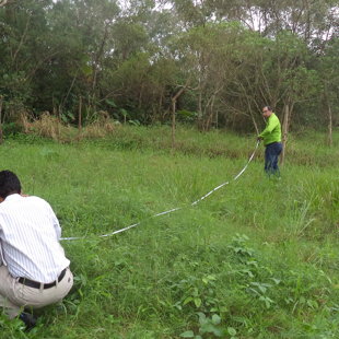 Levantamiento Fisico topografico R/a. Ixtacomitan 2da. Seccion. Centro, Tabasco.