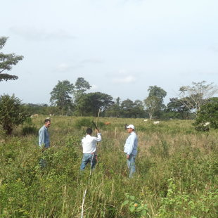 R/a. Quinin Arauz, Paraiso, Tabasco.